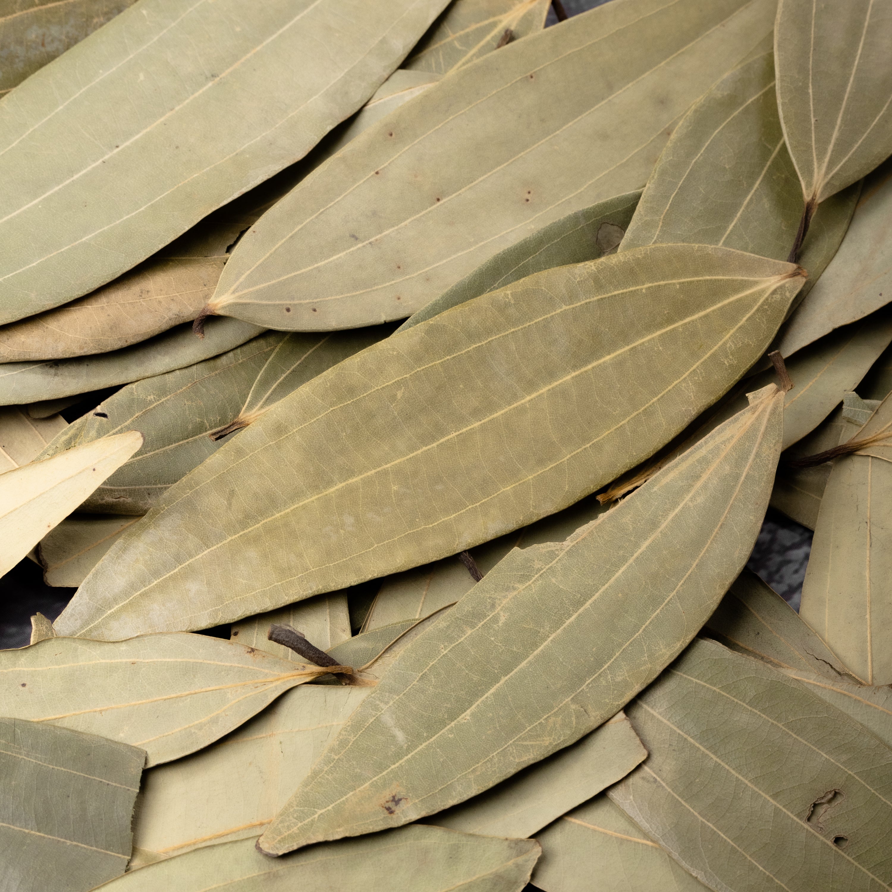 Bay Leaves (Tej Patta)