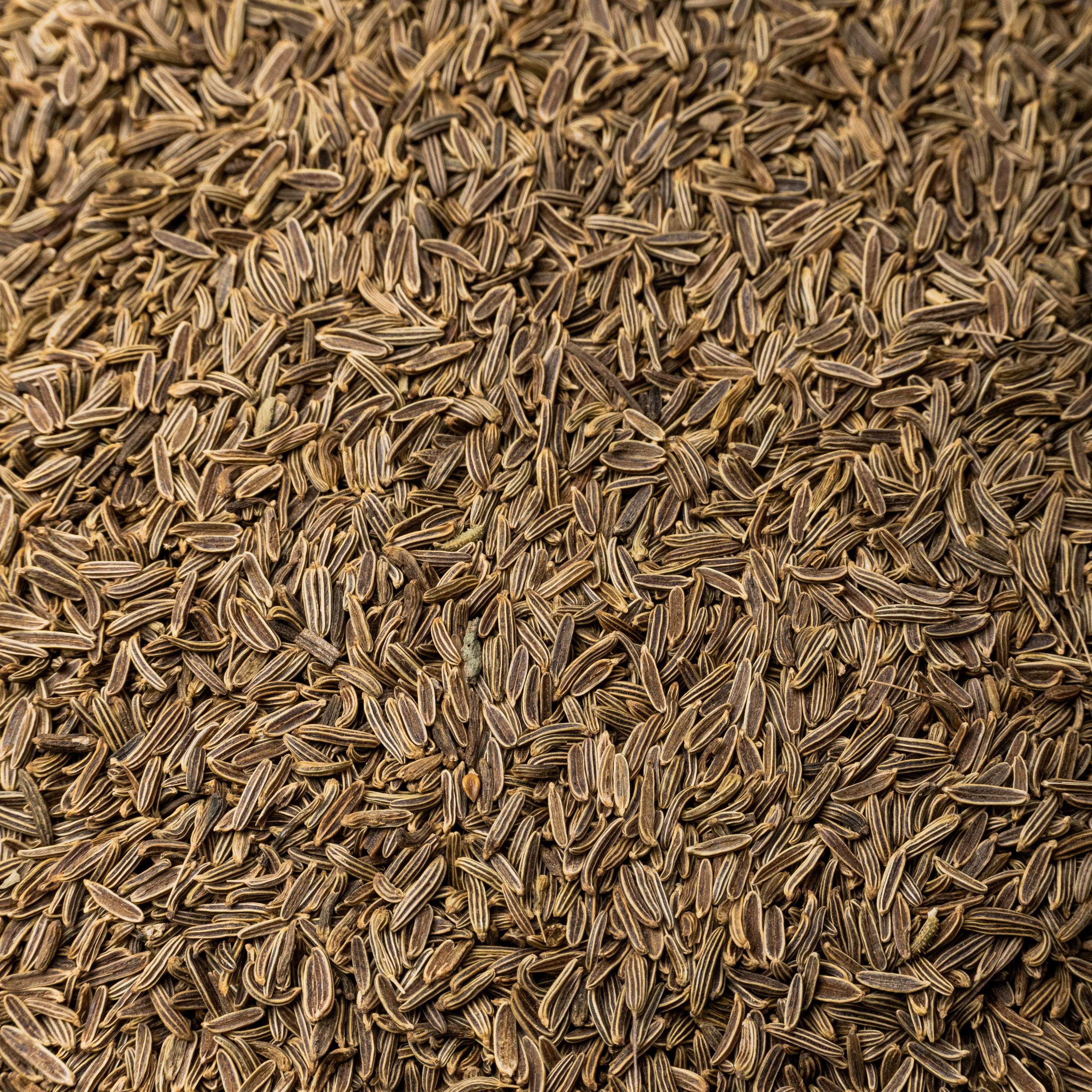 Black Cumin